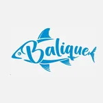 Balique 2023 Ltd MMC
