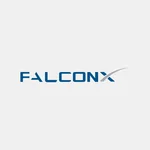 Falcon X